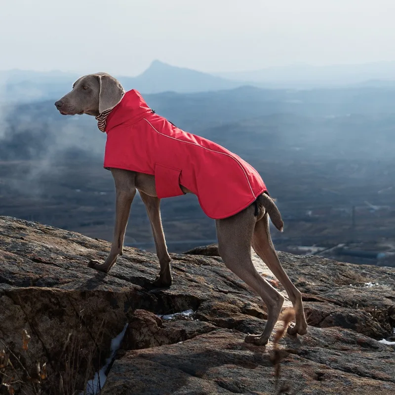 Abrigo impermeable para perros grandes – Reflectante y cortavientos
