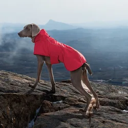 Abrigo impermeable para perros grandes – Reflectante y cortavientos