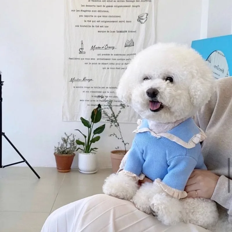 Ropa de Pete, suéter de punto suave para perro, chaqueta para perro con bola de pelo para perro, ropa cálida de invierno para gato, ropa de Navidad para cachorros - imagen 5