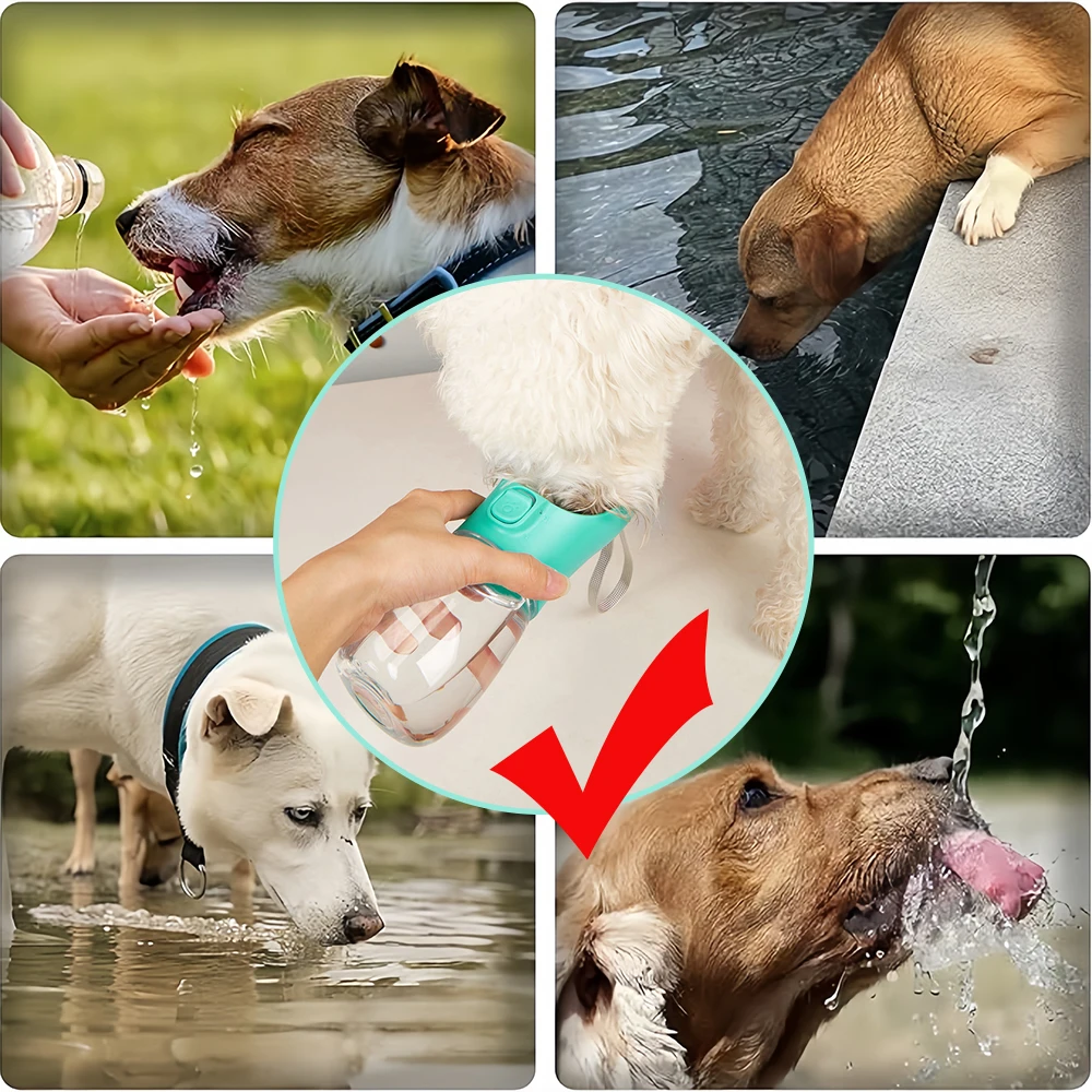 Botella de agua para perros en color rosa