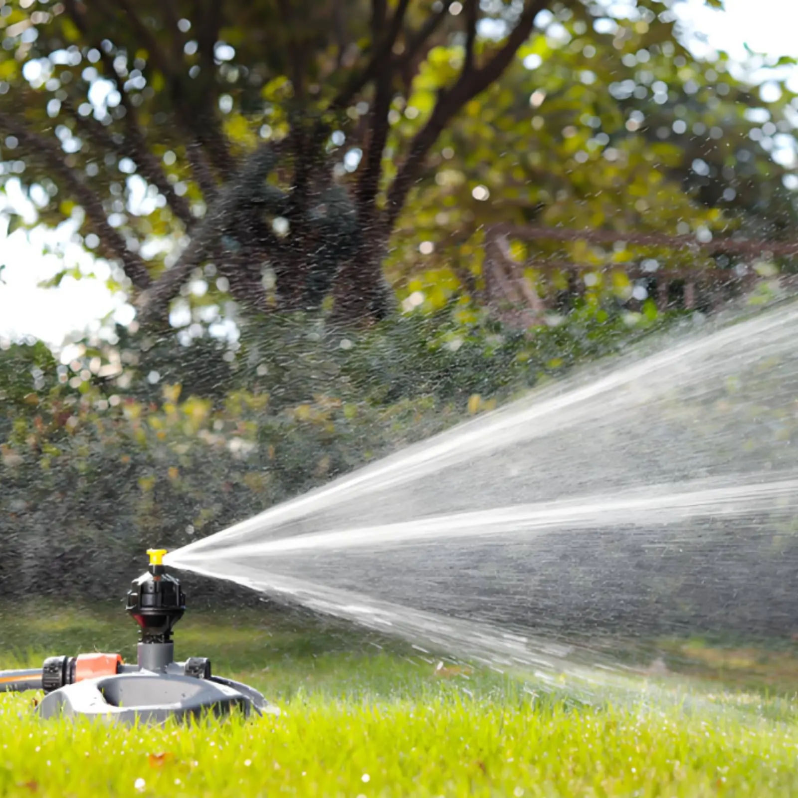 Aspersor giratorio para perros: juguete refrescante de jardín - imagen 4