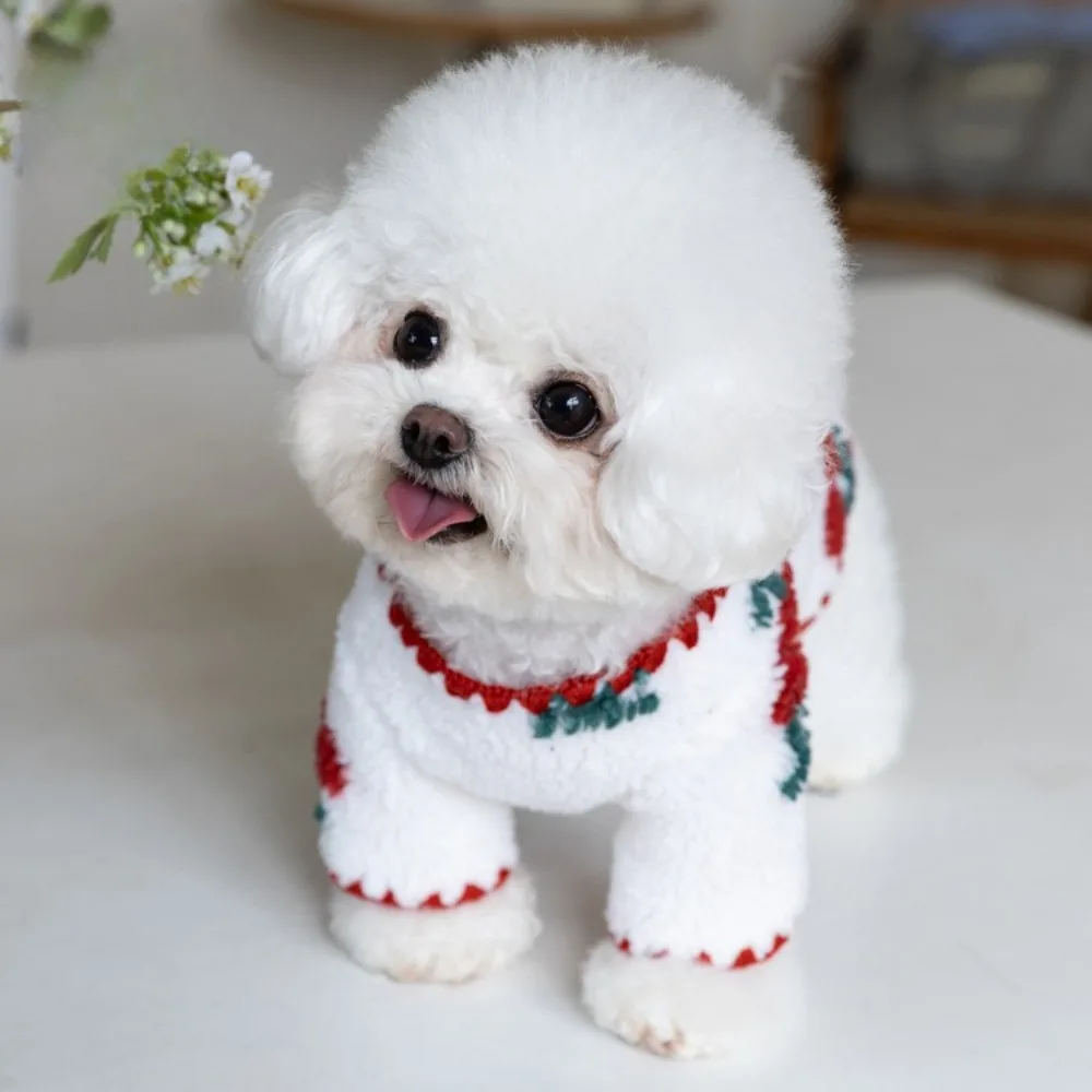 Abrigo de lana cereza para perros y gatos pequeños – Chal suave - imagen 2