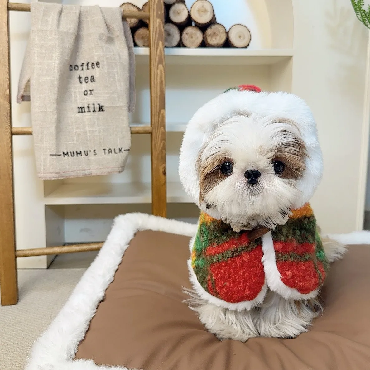 Capa con capucha de otoño e invierno para mascotas, capa navideña de peluche Schnauzer, abrigo grueso para perros, ropa para perros pequeños, ropa para cachorros - imagen 2