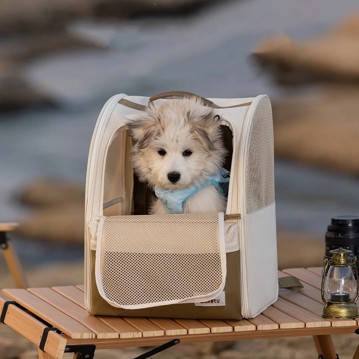 Mochila transportadora transpirable plegable para perros mini y gatos
