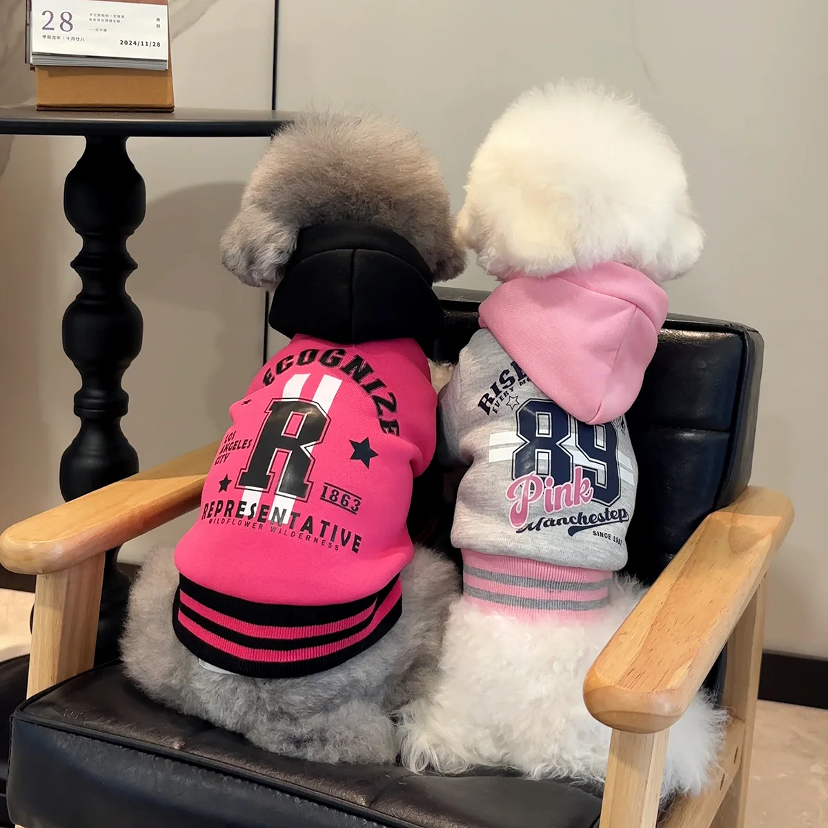 Primavera otoño mascota Color bloqueado sombrero empalme Sudadera con capucha perro grueso cálido mascota remolcable Sudadera con capucha pequeño mediano tamaño perro gato ropa - imagen 4