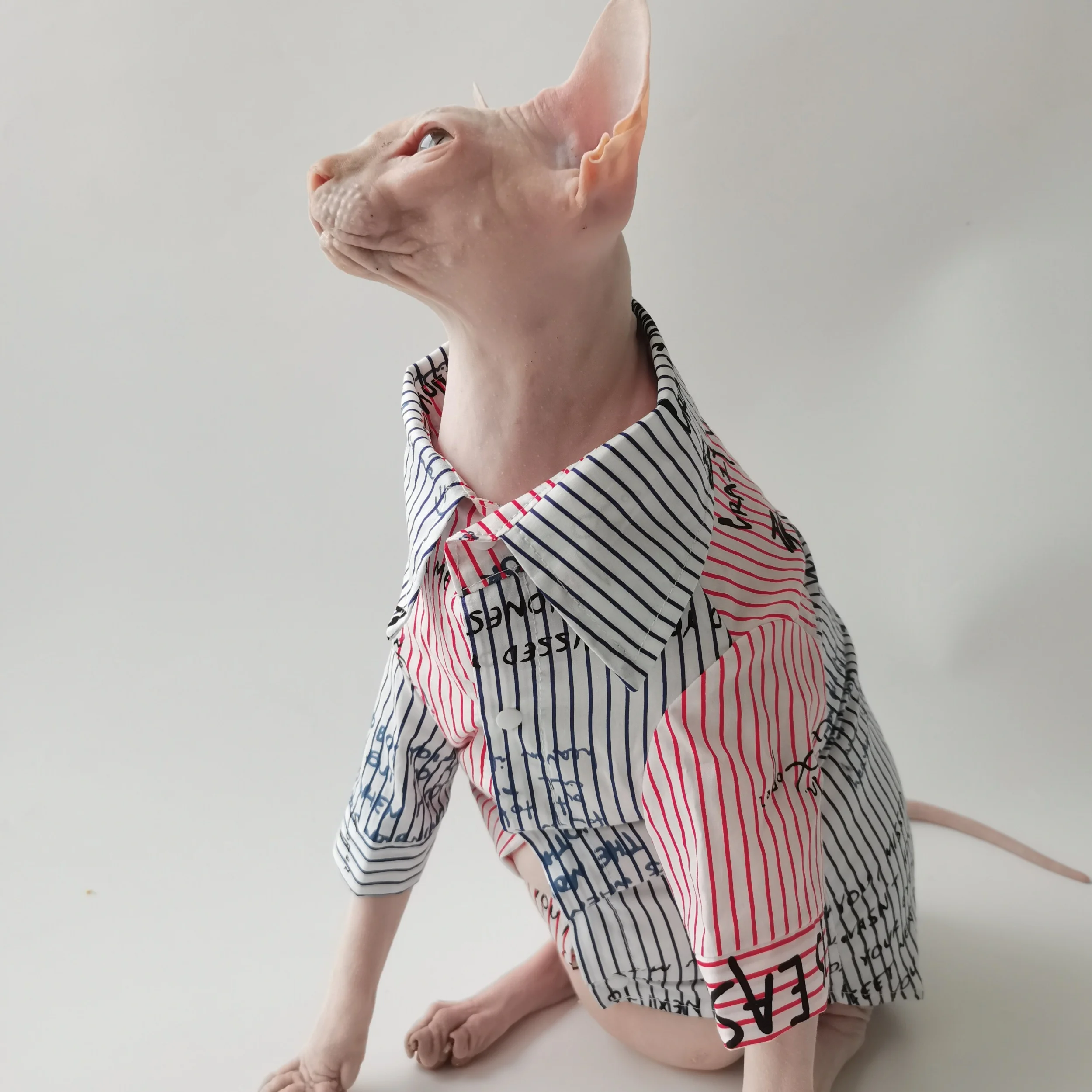 Jersey de algodón para gato Sphynx – Abrigo fino manga larga - imagen 2