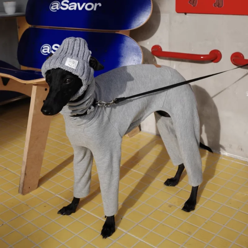 Gorro de lana gris tejido a mano para perros en invierno, cubierta cálida para cabeza de Whippet de galgo italiano, con orejas expostas en otoño - imagen 2
