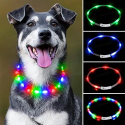 Collar de carga Luminou para perros, 4 modos, Led Usb, collares coloridos de silicona para gatos, brillo nocturno cortable, prevención de pérdida de mascotas, accesorios para perros