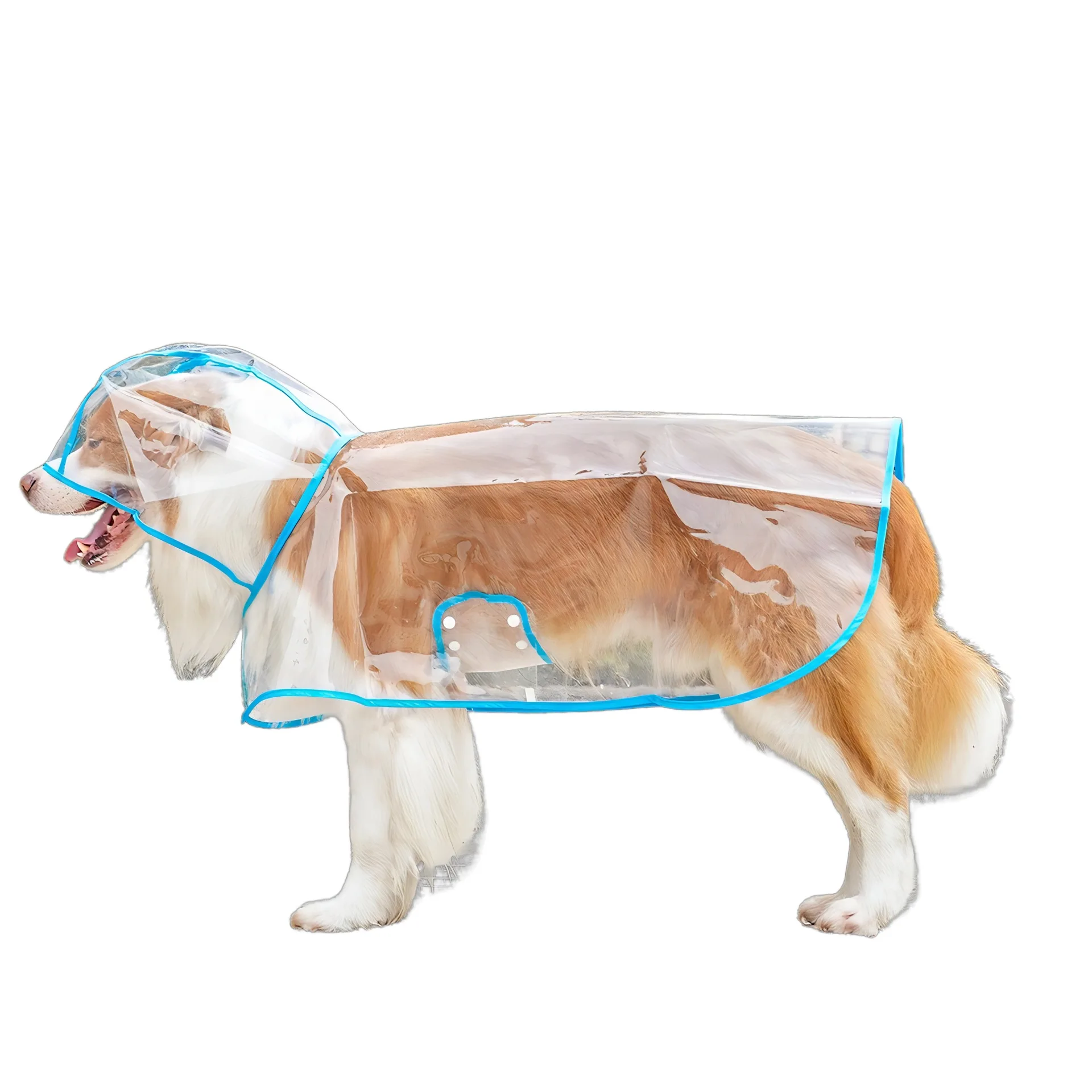 Chubasquero liso para mascotas, Poncho Impermeable para perros pequeños y medianos, chubasquero para perros, caniche, mascotas, ropa para perros - imagen 5