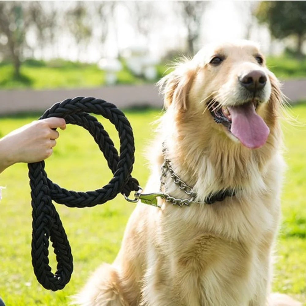 Correa antitirones para perros medianos y grandes – Reflectante y resistente - imagen 3