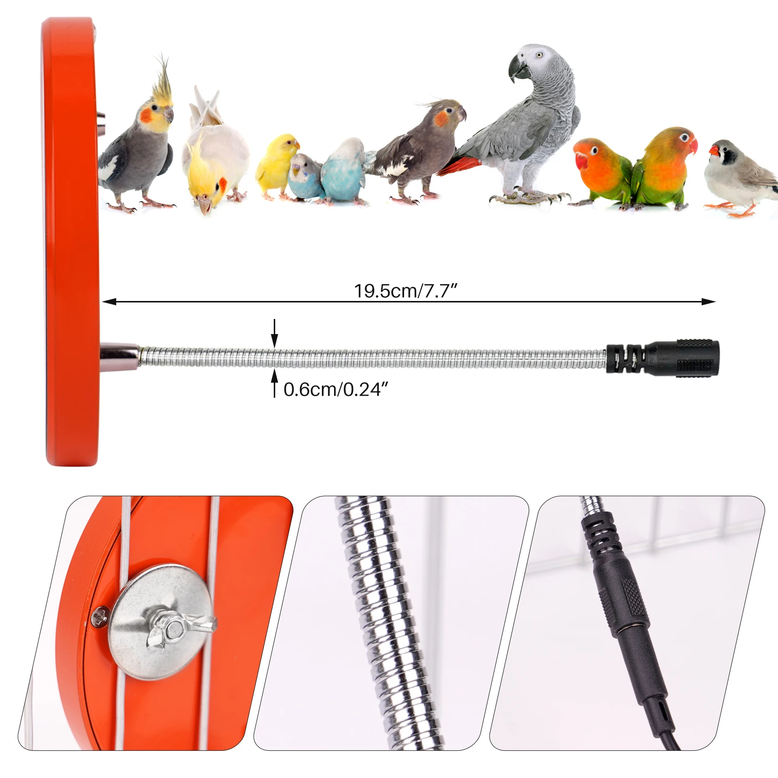Calentador de pájaros para loros, placa termostática, espejo seguro para jaula de pájaros, hámsteres, nuevo - imagen 5