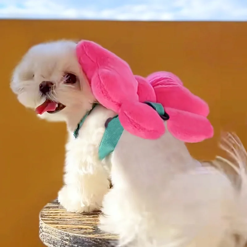 Correa para el pecho con lazo para mascotas, cuerda de tracción para caminar, cuerda para perros y gatos, para salir, bonito arco, mochila, accesorios para perros