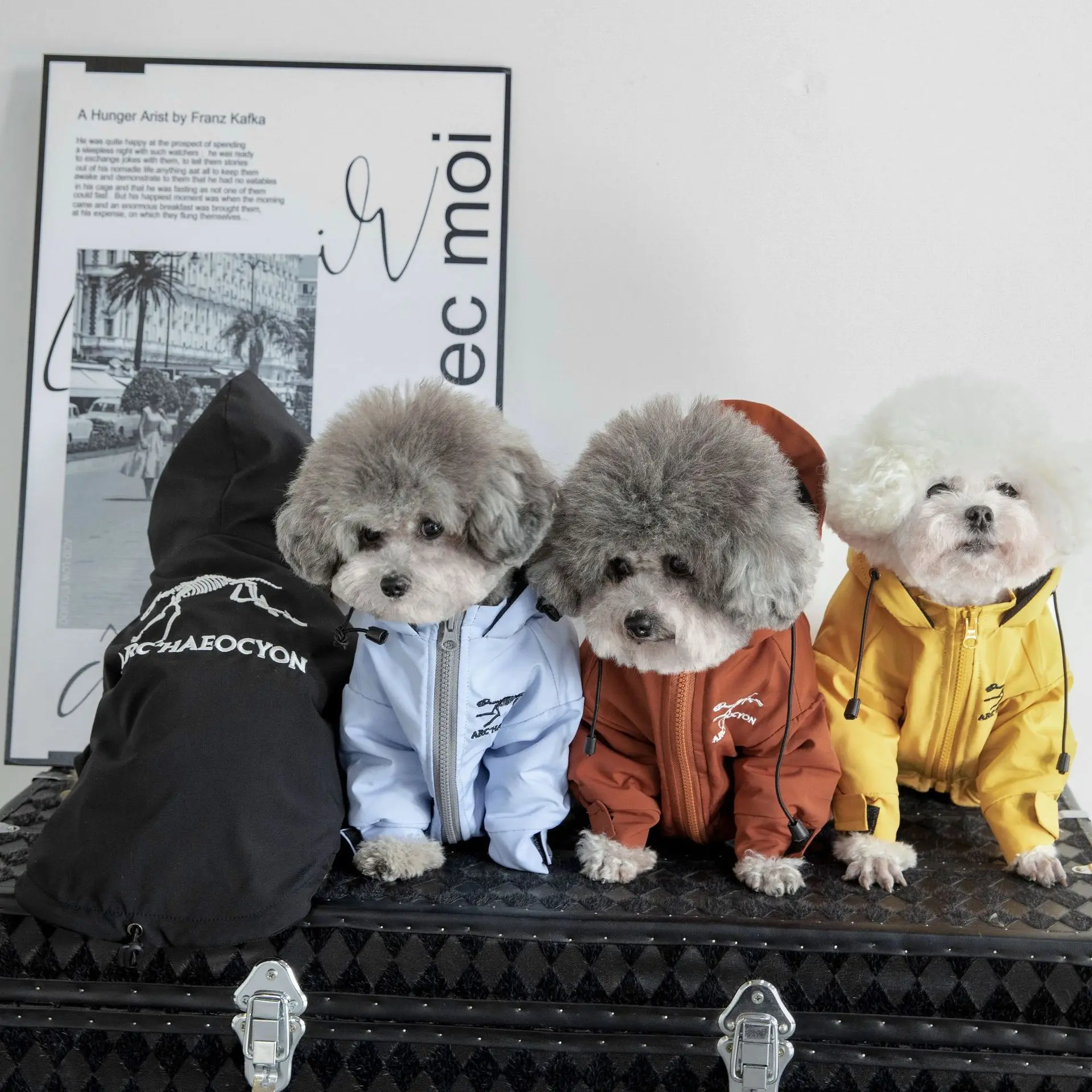Nueva ropa para mascotas, chaqueta para perros, ropa con capucha de dos patas de terciopelo resistente a la lluvia, productos para mascotas - imagen 2
