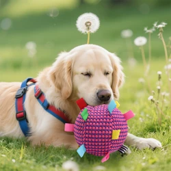 Juguete masticable con pelota para perros – Alivia estrés y divierte