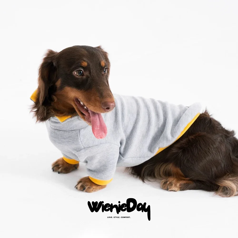 Ropa de primavera para perros con salchicha, suéter para perros Wiener de 2 patas para perros pequeños, medianos y grandes, ropa para perros de tejón, camiseta para perros - imagen 2