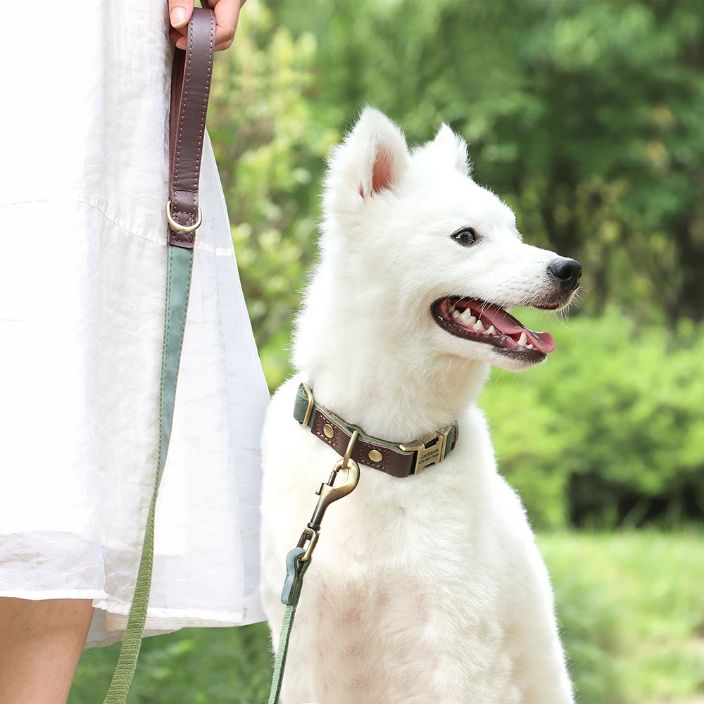 Custom Dog Collar Leash Durable Nylon PU Leather Dog Buckle Collars Necklace Pet Walking Lead Rope for Small Medium Dogs Pitbull - imagen 5
