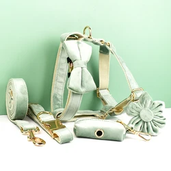 Collar y correa con placa identificativa para perros – Terciopelo verde menta