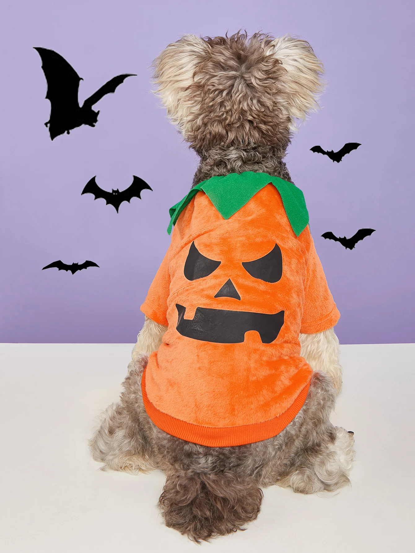 Disfraz de perro de calabaza de Halloween, camisa naranja para mascotas con cuello verde, traje festivo para perros pequeños/medianos, perfecto para Halloween