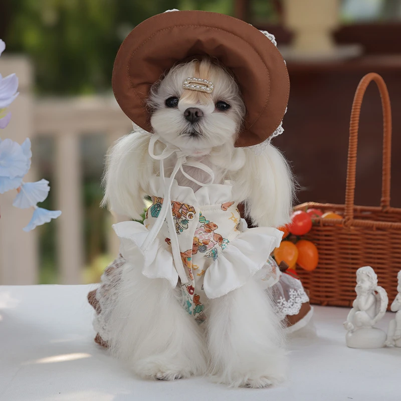 Vestido de encaje para mascotas, vestido de sirvienta para mascotas, bonito conjunto de sombrero para perros, abrigo para mascotas, abrigo pequeño, ropa para cachorros, ropa para perros pequeños, Otoño e Invierno - imagen 2