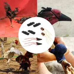 Cubierta de pie lucha con boca para gallo guante pollo