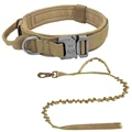 Collar-leash khaki