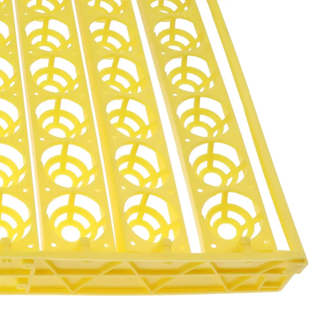 56 Chicken Duck Quail Goose Pigeon Bird Poultry Eggs Tray Motor Automatic Incubator ing Turner 110V