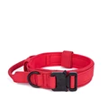 Red dog collar