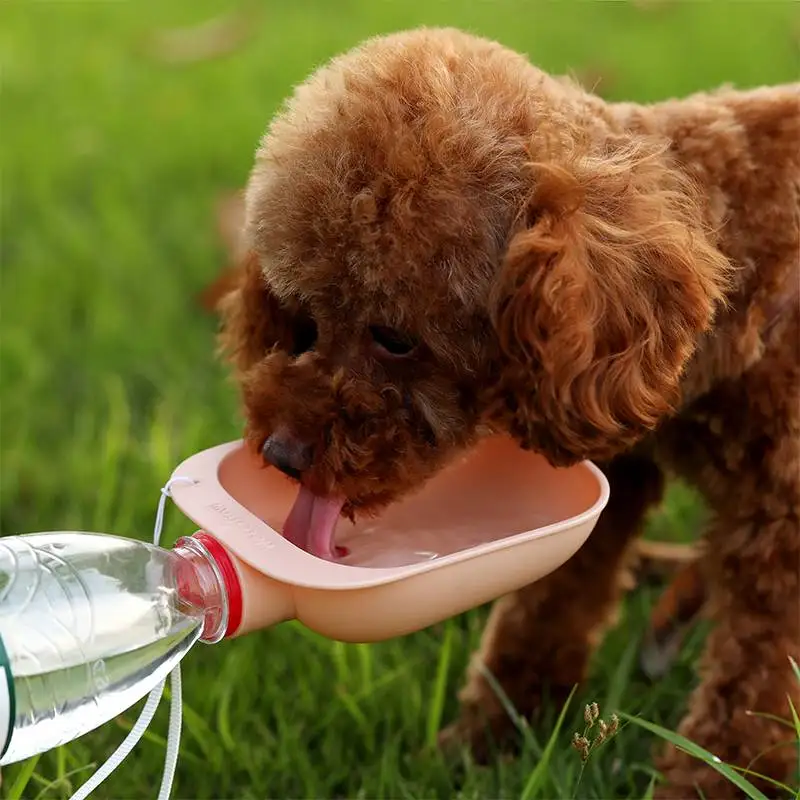 Botella de agua para perro que sale, dispensador de agua portátil, botella de agua Mineral para viaje al aire libre, suministros para mascotas - imagen 4