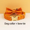 Bow Collar
