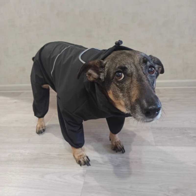 Chubasquero para perros de cobertura total, mono impermeable, diseño envolvente completo para protección para perros pequeños, medianos, grandes y extragrandes - imagen 3