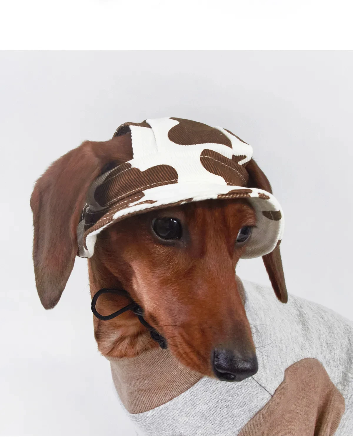 Vista lateral de gorra protectora para perro mediano