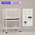 B061 White Standard