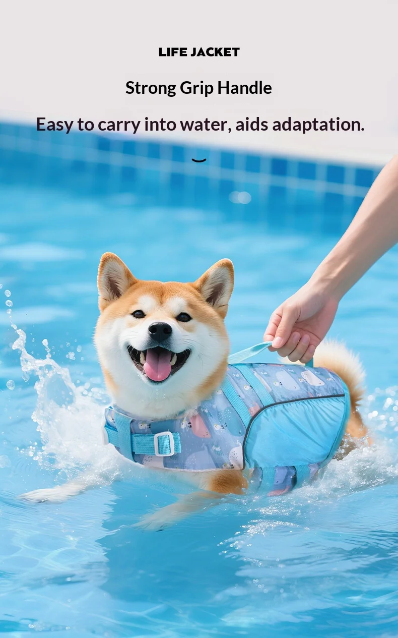 Chaleco puesto en un perro