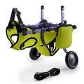two-wheel yellow