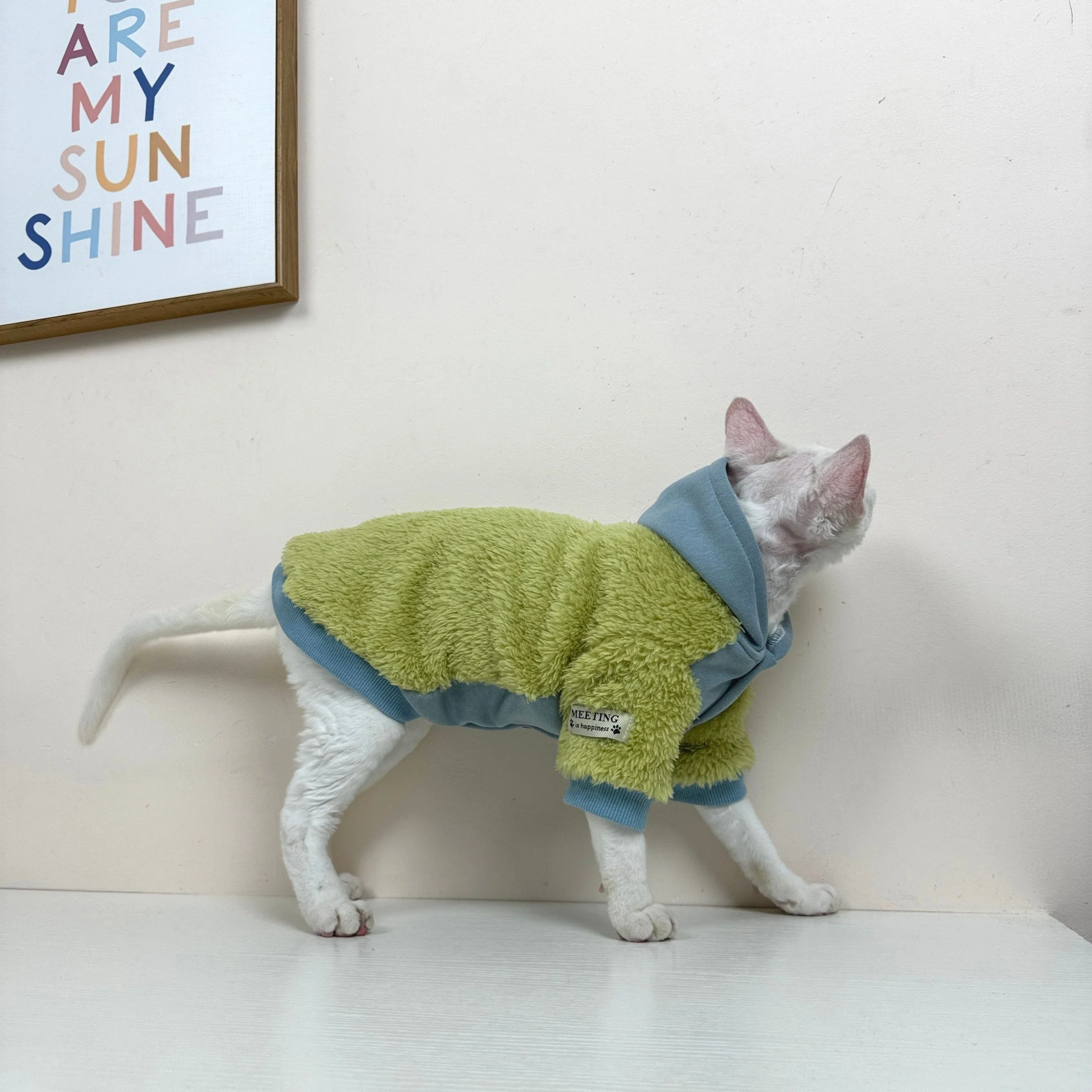 Cárdigan de forro polar grueso para gatos Sphynx invierno con capucha - imagen 3