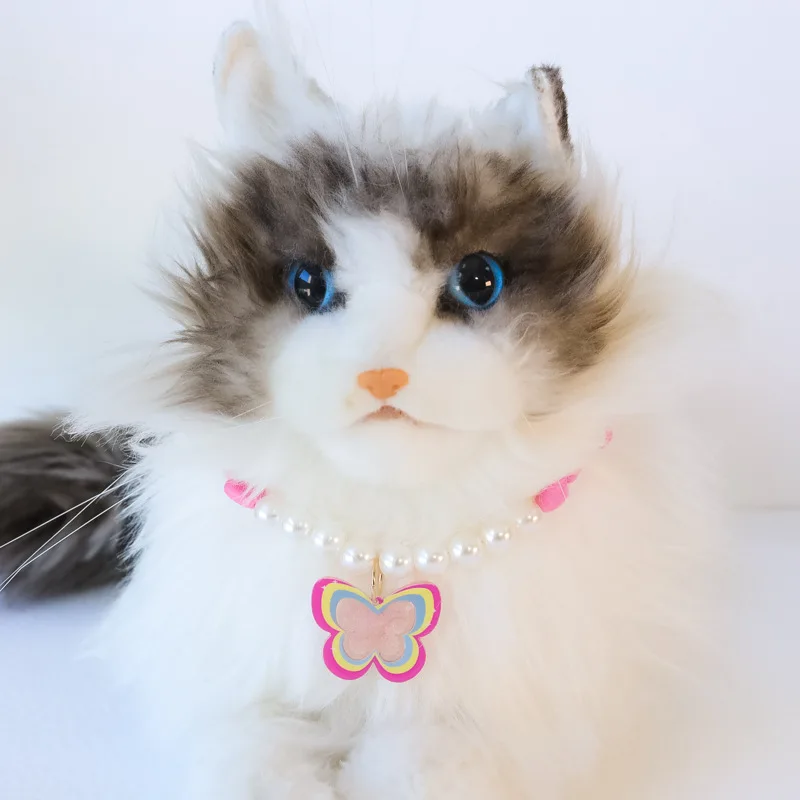 Perlas del collar para mascotas