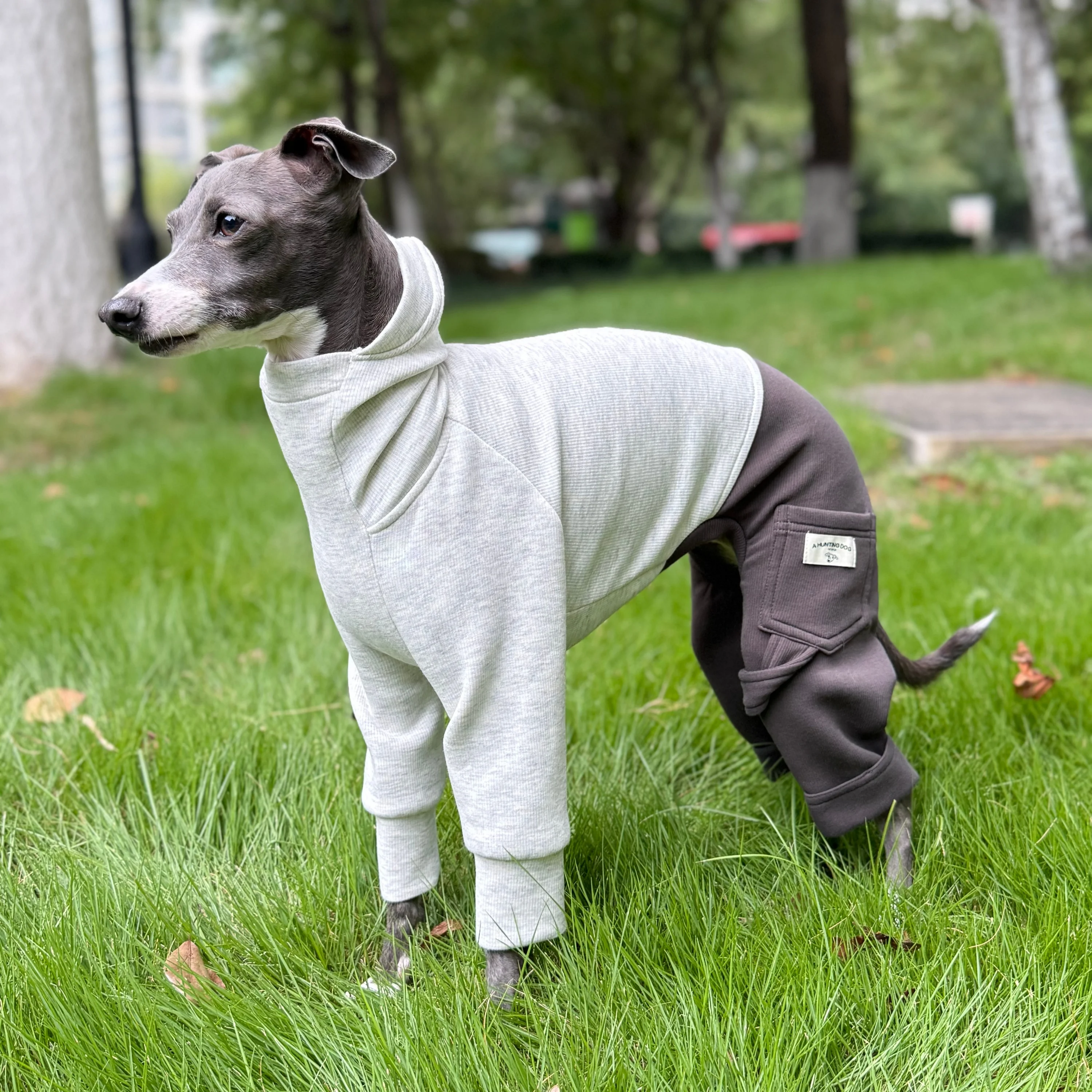 Ropa para galgos en otoño, sudadera cálida y suave gris de 4 patas con cuello alto, abrigo de algodón verde, ropa de descanso de otoño para perros medianos - imagen 2