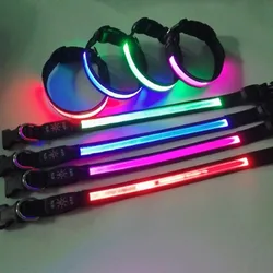 Collar LED recargable para perros – Visibilidad y seguridad nocturna