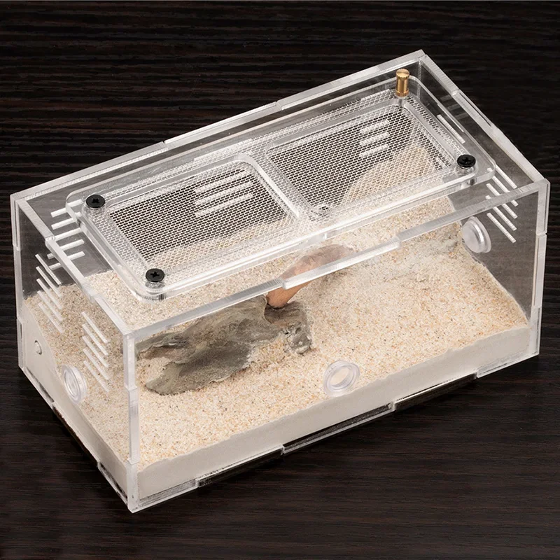 Nueva granja de hormigas de hormigón con torre de agua, nido de hormigas de expansión ilimitada, casa de hormigas altamente hidratante, antill, taller, caja de insectos - imagen 5