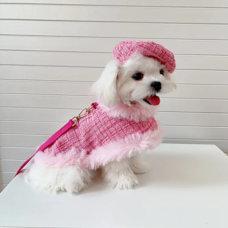 Ins Tweed Cloak Puppy Coat Pet Cloak Pet Supplies Cape Dog Chest Strap Drawstring Cute Beret Dog Harness Dogs Accessories - imagen 4