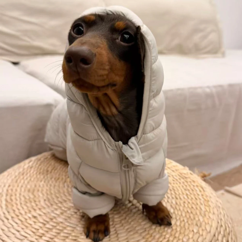 Abrigo invierno para perro pequeño – Chaqueta térmica con capucha - imagen 4