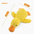 Duck M