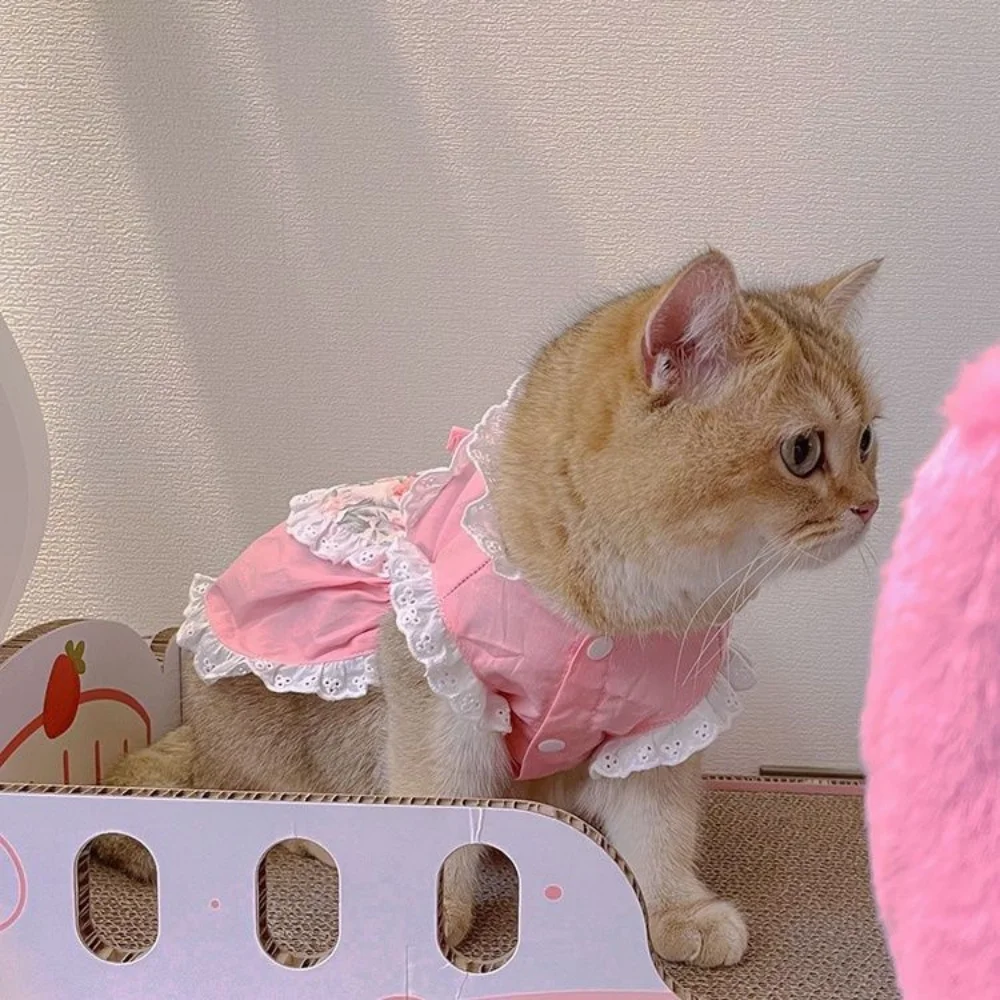 Falda de princesa para gato, delantal bonito, vestido de encaje Floral rosa para perro, ropa para cachorros pequeños de peluche, mascotas rosas para niña - imagen 3