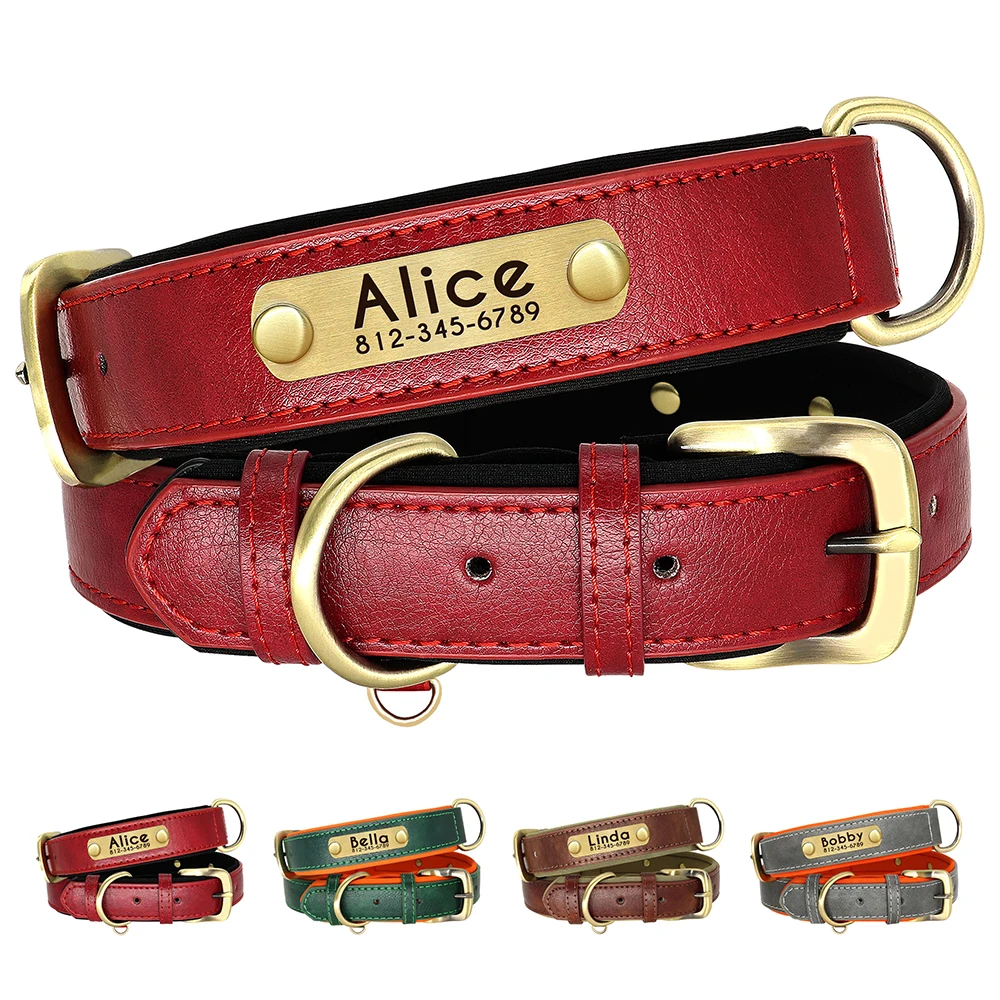 Collar identificativo acolchado para perros – Placa grabable
