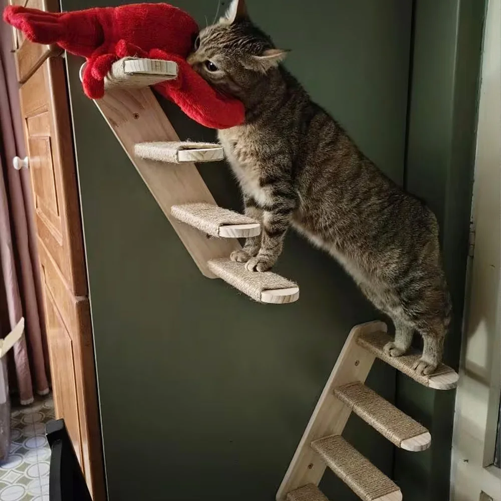 Muebles de pared para gatos de interior: estantes, hamaca y cama