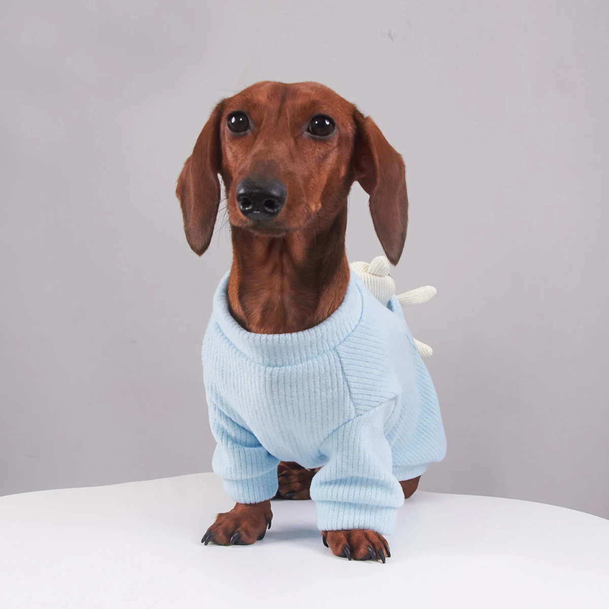 Abrigo punto suave para perros pequeños Dachshund – Primavera y otoño - imagen 5