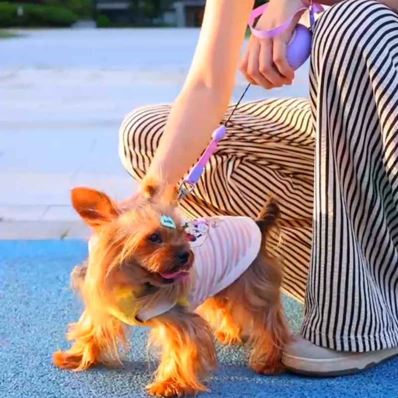 La nueva correa telescópica automática de tres metros de dos colores está disponible para perros y gatos que caminan, adecuada para perros y gatos pequeños