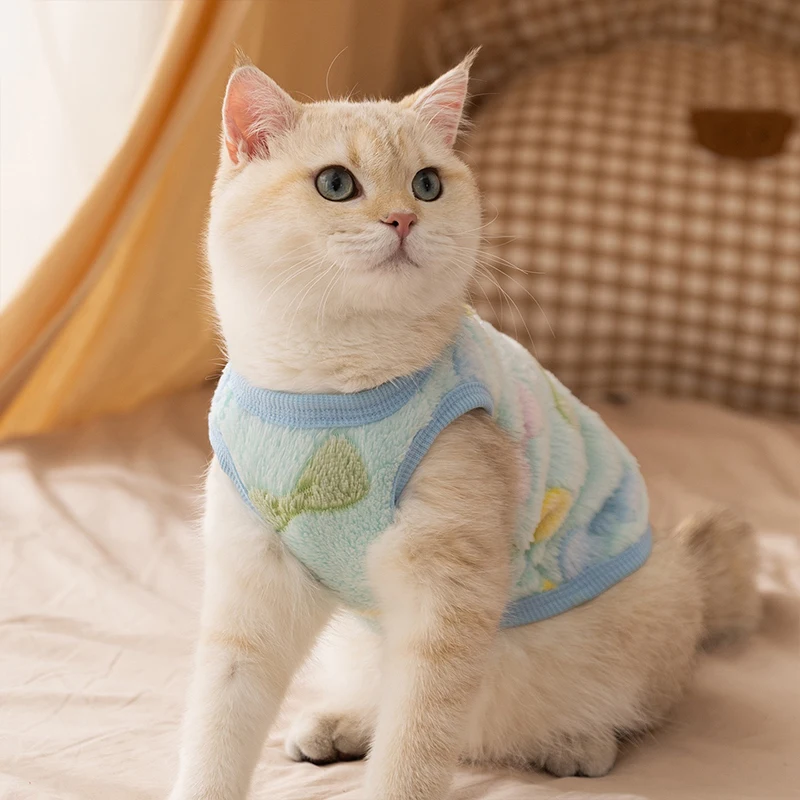 Chaleco de invierno esponjoso para Bulldog Francés, oso de dibujos animados, forro polar cálido, ropa de gato esfinge, sudadera para cachorros de Nueva York, monos - imagen 3