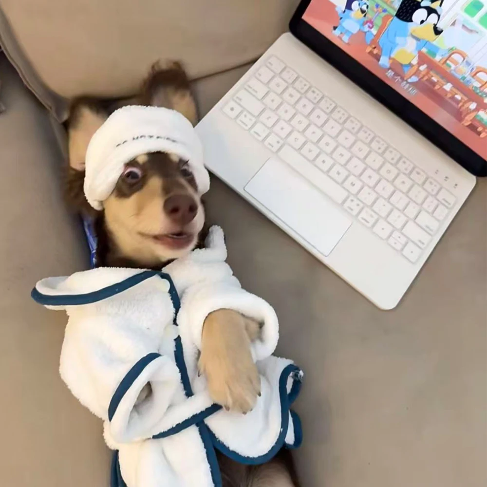 Toalla de secado y albornoz suave para Dachshund - imagen 3