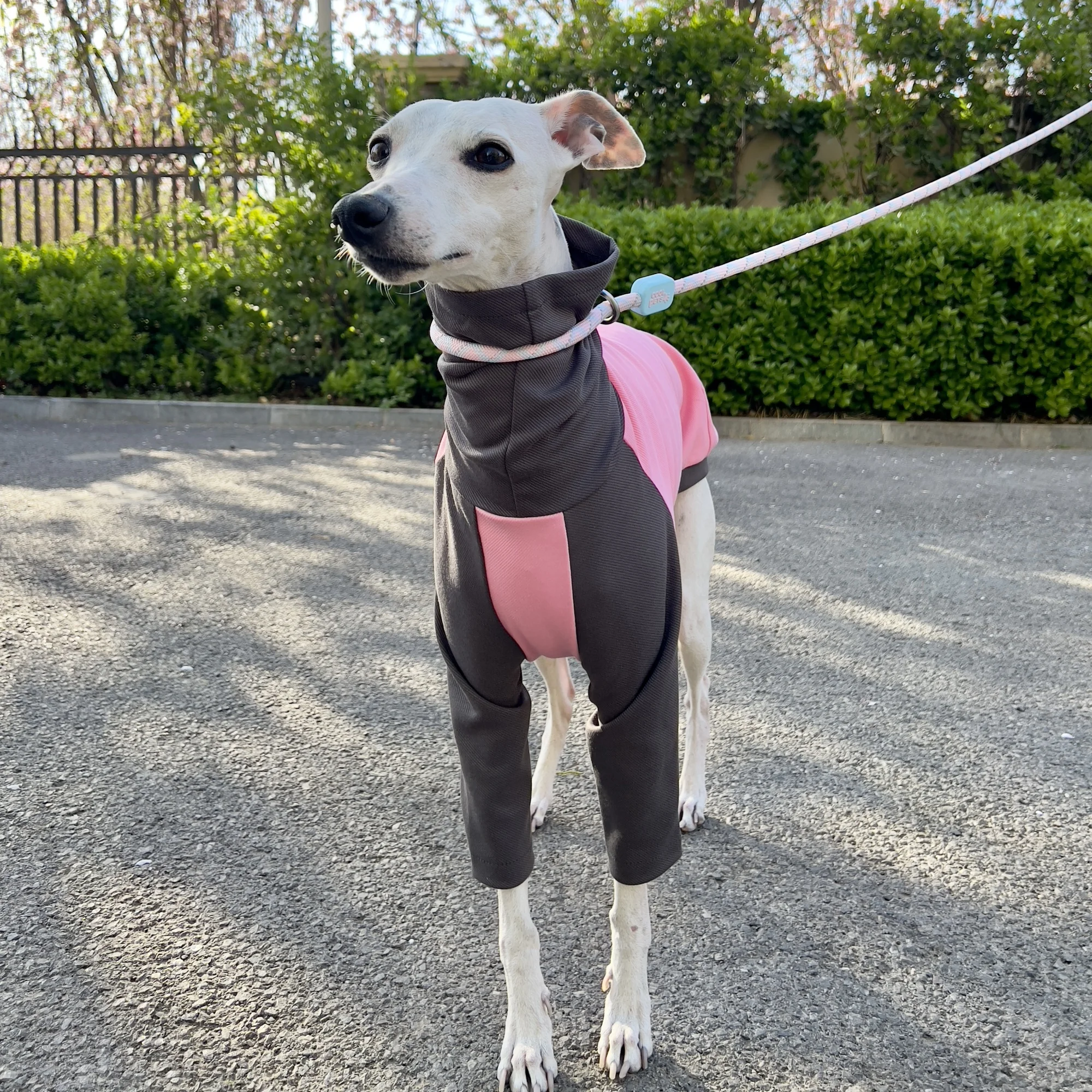 Mid Dog Clothing Primavera Verano Camiseta de cuello alto para galgo Manga larga suave Pijama de algodón Abrigo de café rosa para Whipbit - imagen 3